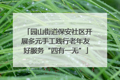 园山街道保安社区开展多元手工践行老年友好服务“四有一无”