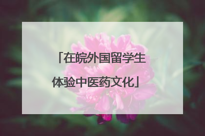 在皖外国留学生体验中医药文化