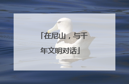 在尼山，与千年文明对话
