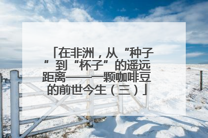 在非洲，从“种子”到“杯子”的遥远距离——一颗咖啡豆的前世今生（三）
