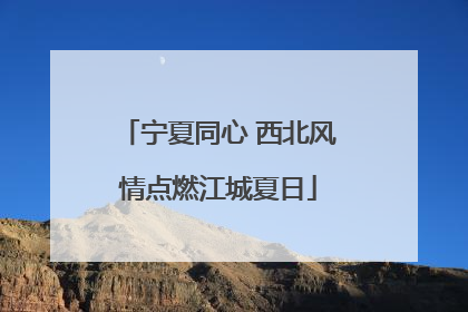 宁夏同心 西北风情点燃江城夏日