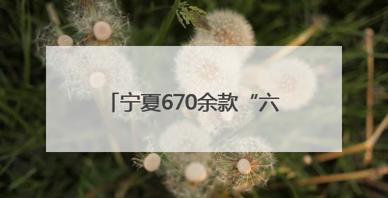 宁夏670余款“六特”农产品亮相农展馆 推动优质特色农产品“出宁进京”