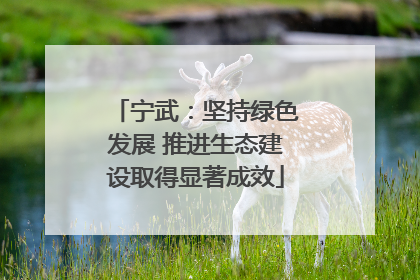 宁武：坚持绿色发展 推进生态建设取得显著成效