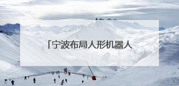 宁波布局人形机器人产业，三年计划发布