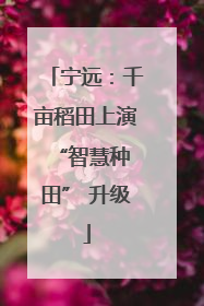 宁远：千亩稻田上演 “智慧种田” 升级