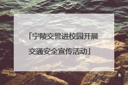 宁陵交警进校园开展交通安全宣传活动
