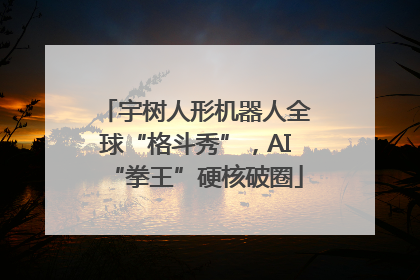 宇树人形机器人全球“格斗秀”，AI“拳王”硬核破圈