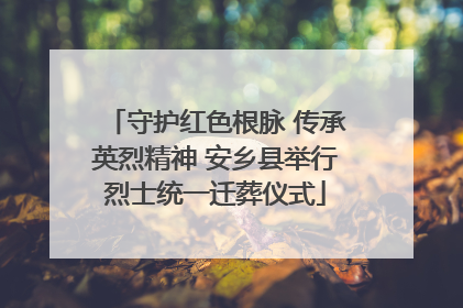 守护红色根脉 传承英烈精神 安乡县举行烈士统一迁葬仪式