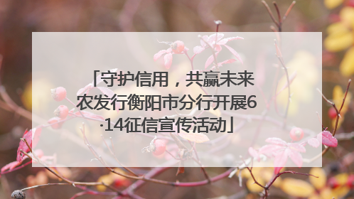 守护信用，共赢未来 农发行衡阳市分行开展6·14征信宣传活动
