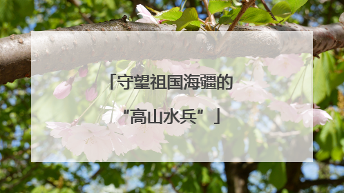 守望祖国海疆的“高山水兵”