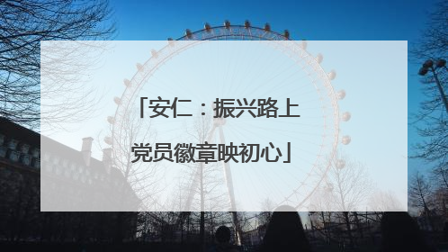 安仁：振兴路上 党员徽章映初心