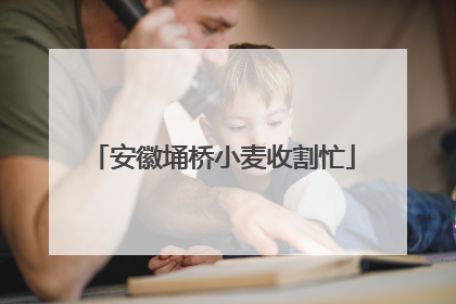 安徽埇桥小麦收割忙