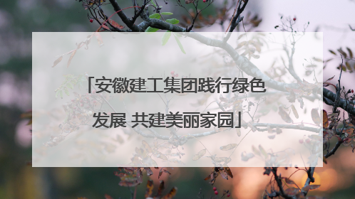 安徽建工集团践行绿色发展 共建美丽家园