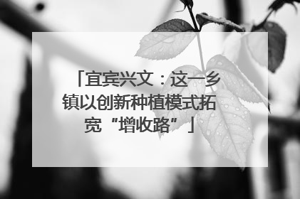 宜宾兴文：这一乡镇以创新种植模式拓宽“增收路”