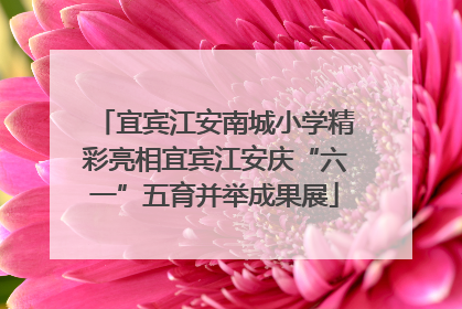 宜宾江安南城小学精彩亮相宜宾江安庆“六一”五育并举成果展