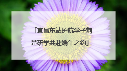 宜昌东站护航学子荆楚研学共赴端午之约