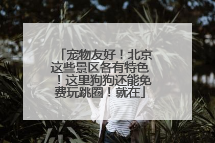 宠物友好！北京这些景区各有特色！这里狗狗还能免费玩跳圈！就在