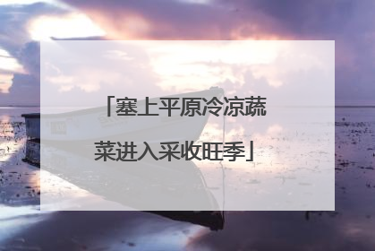 塞上平原冷凉蔬菜进入采收旺季