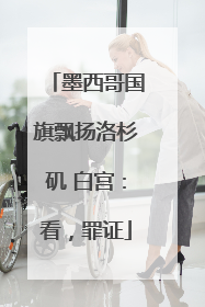 墨西哥国旗飘扬洛杉矶 白宫：看，罪证