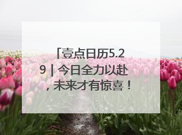 壹点日历5.29｜今日全力以赴，未来才有惊喜！周四早安