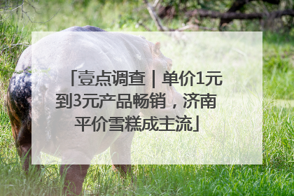 壹点调查｜单价1元到3元产品畅销，济南平价雪糕成主流
