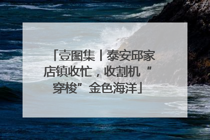 壹图集丨泰安邱家店镇收忙，收割机“穿梭”金色海洋