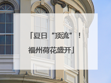 夏日“顶流”！福州荷花盛开