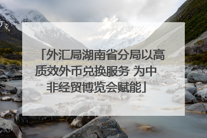 外汇局湖南省分局以高质效外币兑换服务 为中非经贸博览会赋能