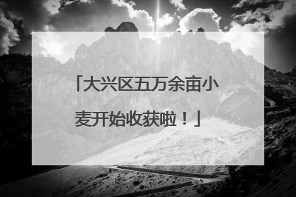 大兴区五万余亩小麦开始收获啦！
