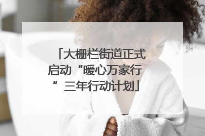 大栅栏街道正式启动“暖心万家行”三年行动计划