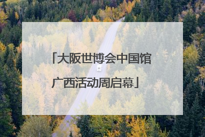 大阪世博会中国馆广西活动周启幕