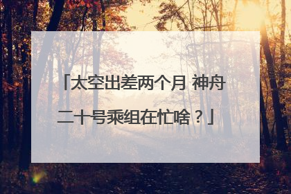 太空出差两个月 神舟二十号乘组在忙啥？