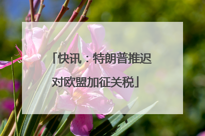 快讯：特朗普推迟对欧盟加征关税