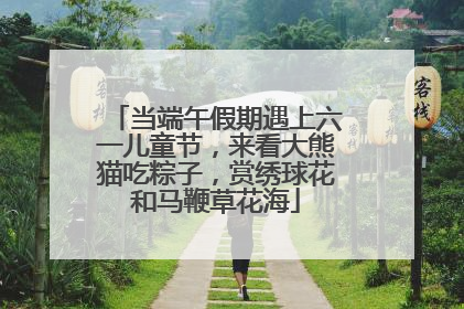 当端午假期遇上六一儿童节，来看大熊猫吃粽子，赏绣球花和马鞭草花海