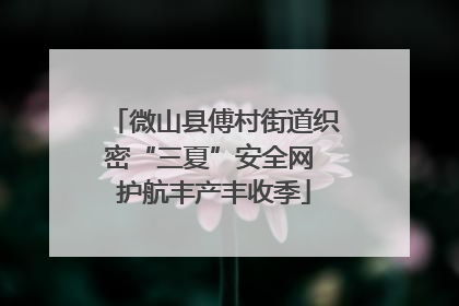 微山县傅村街道织密“三夏”安全网 护航丰产丰收季
