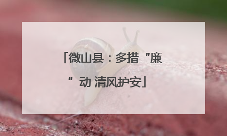 微山县：多措“廉”动 清风护安