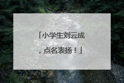 小学生刘云成，点名表扬！