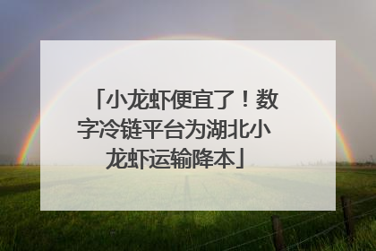 小龙虾便宜了！数字冷链平台为湖北小龙虾运输降本