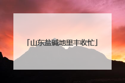 山东盐碱地里丰收忙