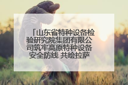 山东省特种设备检验研究院集团有限公司筑牢高原特种设备安全防线 共绘拉萨美好生活画卷