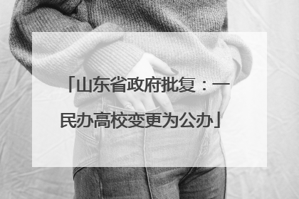 山东省政府批复：一民办高校变更为公办