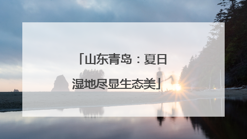 山东青岛：夏日湿地尽显生态美