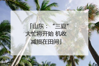 山东：“三夏”大忙将开始 机收减损在田间