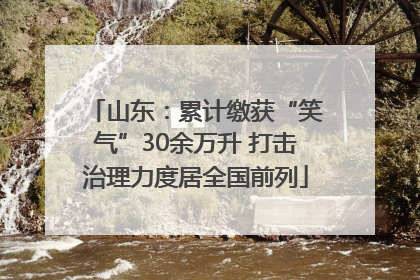 山东：累计缴获“笑气”30余万升 打击治理力度居全国前列