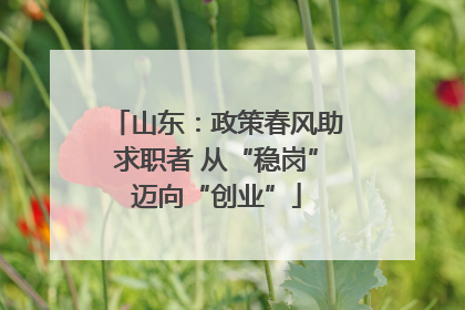 山东：政策春风助求职者 从“稳岗”迈向“创业”