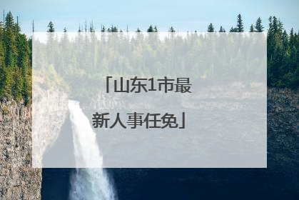 山东1市最新人事任免