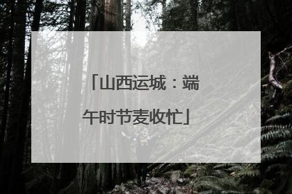 山西运城：端午时节麦收忙
