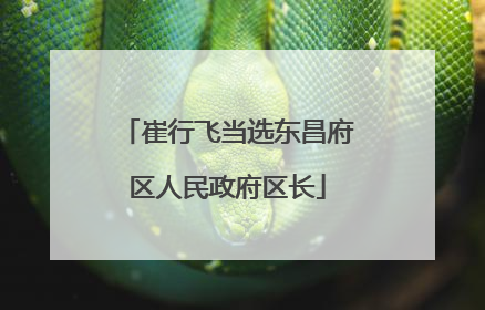 崔行飞当选东昌府区人民政府区长