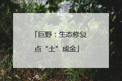 巨野：生态修复点“土”成金