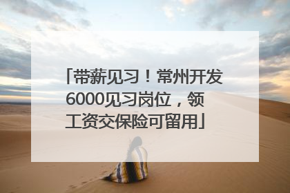 带薪见习！常州开发6000见习岗位，领工资交保险可留用